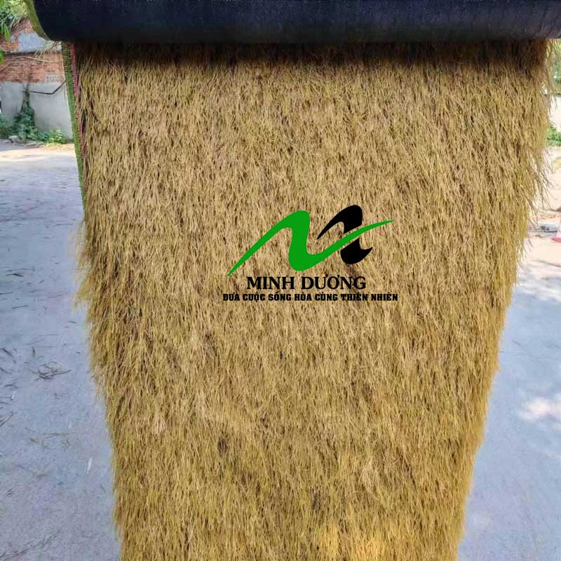 CỎ RƠM VÀNG LÀ GIẢI PHÁP LỢP MÁI ĐẸP - ĐỘC ĐÁO - BỀN BỈ