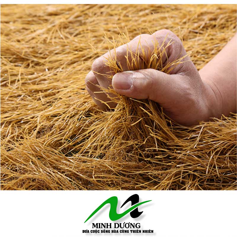 THẢM CỎ RƠM NHÂN TẠO LỢP MÁI GIÁ RẺ NĂM 2025 GIẢI PHÁP ĐẸP, BỀN, TIẾT ...